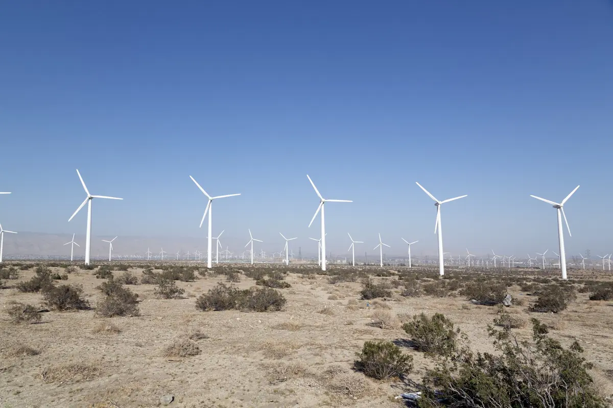 Rows of white wind turbines across a desert plain under a clear blue sky